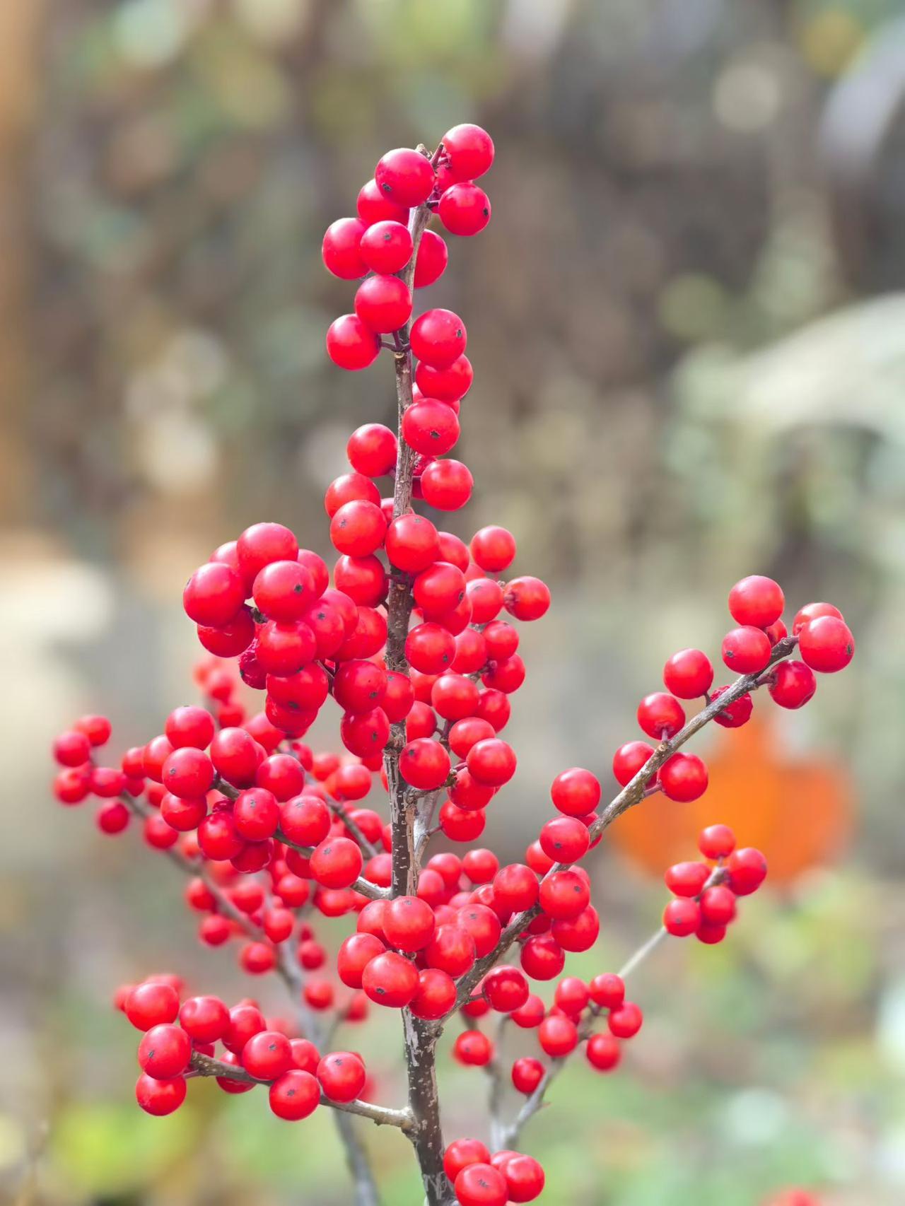过年走亲戚时候的讲究:​1.提前打招呼。切记一定不要不打招呼直接就上门。