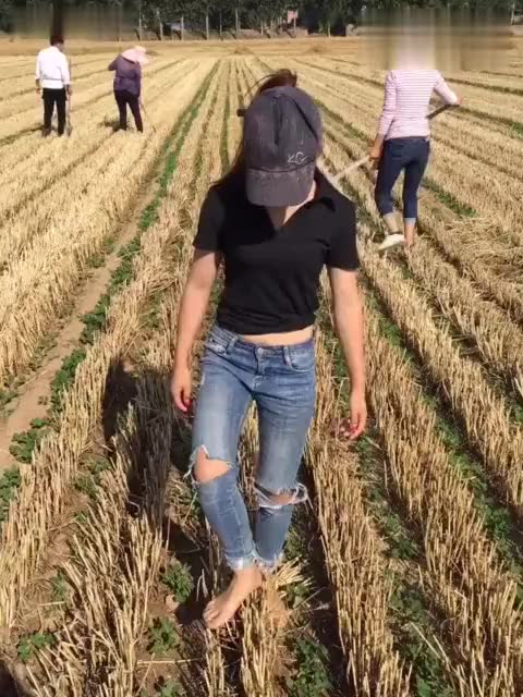 【平齐转播】2-27(4) GMOD-Tower 日常掉线!