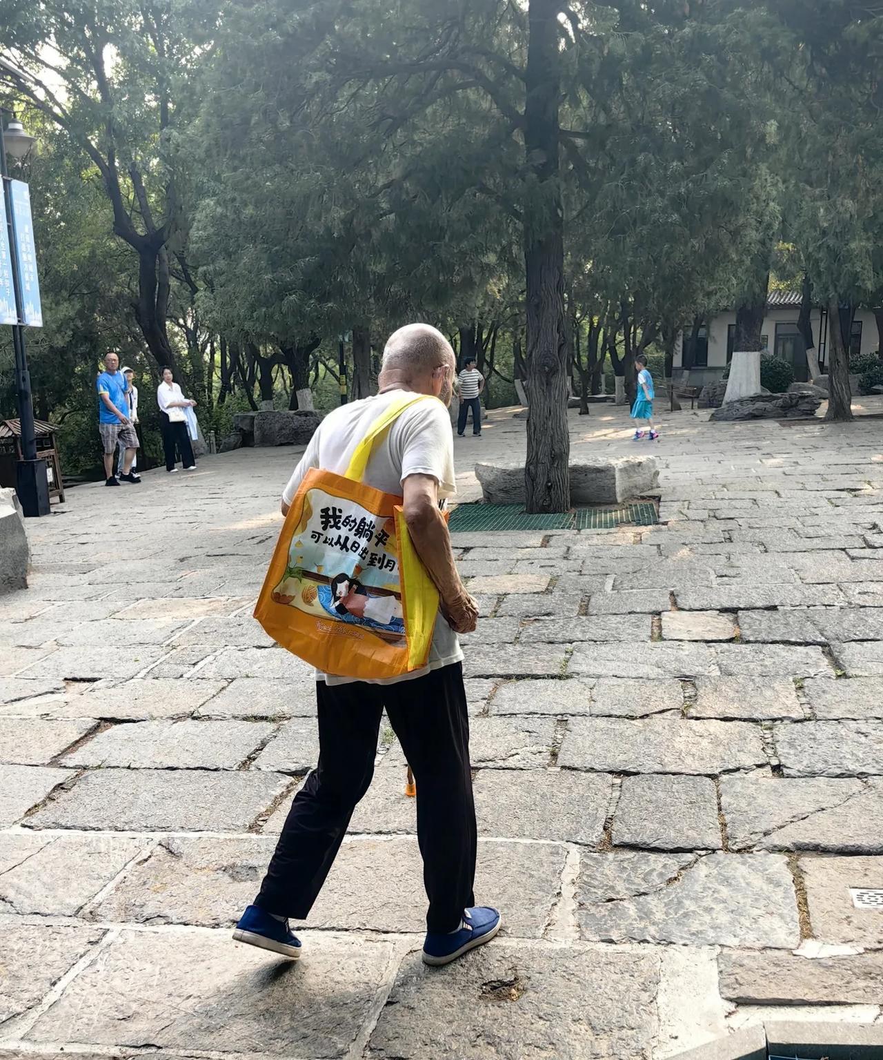 躺平界的扛把子，你大还爷。