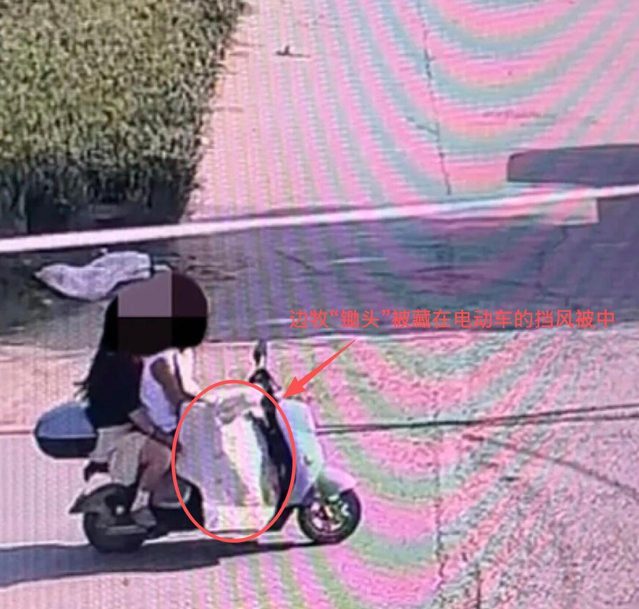 跟你说个真让人窝火的事——河南商丘那只拍过自驾vlog、攒了百万粉丝的网红边牧"