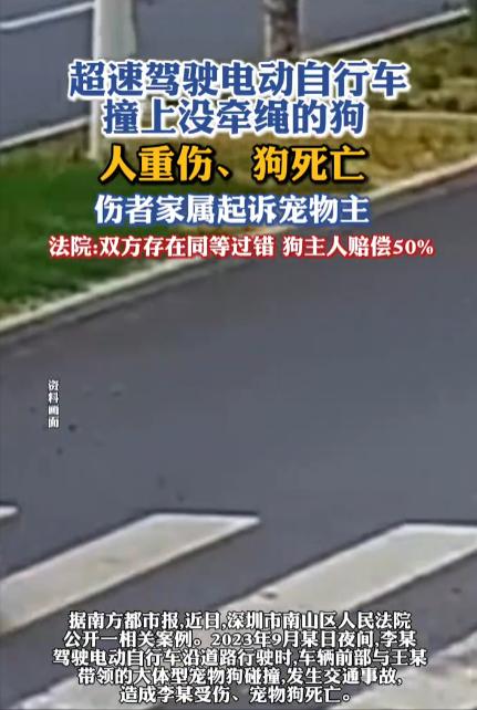 深圳，一名男子夜间骑电动车，撞上了路人的一只大狗，造成了男子一级伤残、大狗身死的