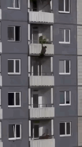 这是高手，不过他的命运，我们可以猜的到了。