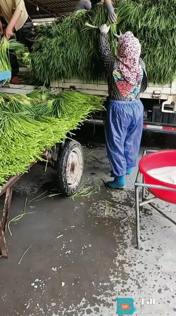 能不能直接告诉大家，到底啥东西能吃？现在刷短视频越看越心惊，先是杨梅、菠萝