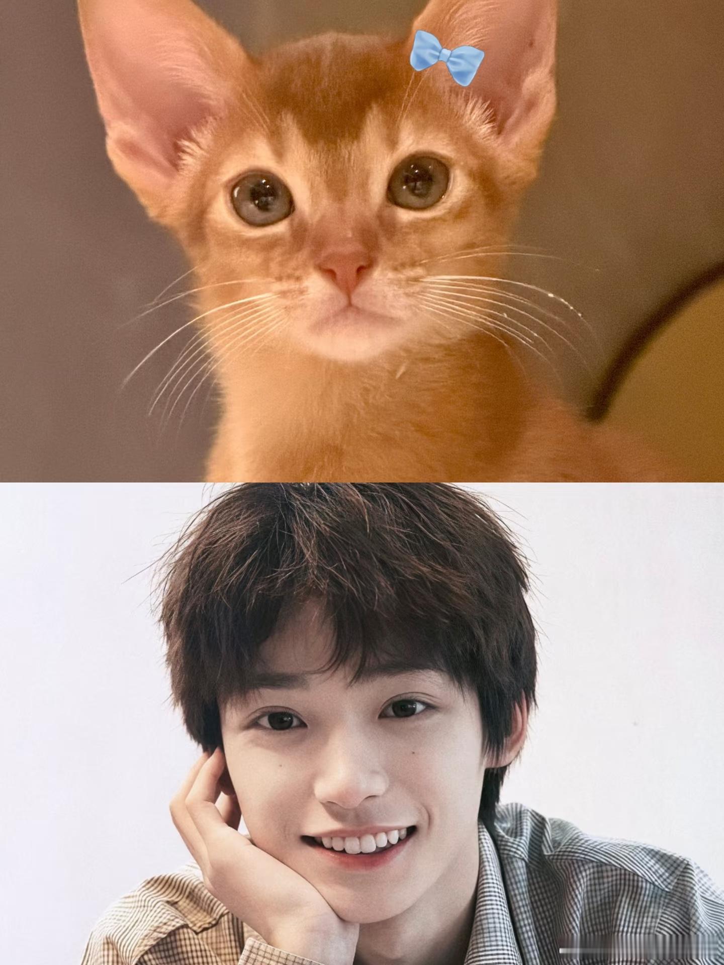 梓渝昨天库里库里跳完了，小十一人气依旧top🥇哈哈哈哈哈哈梓渝秋意大片