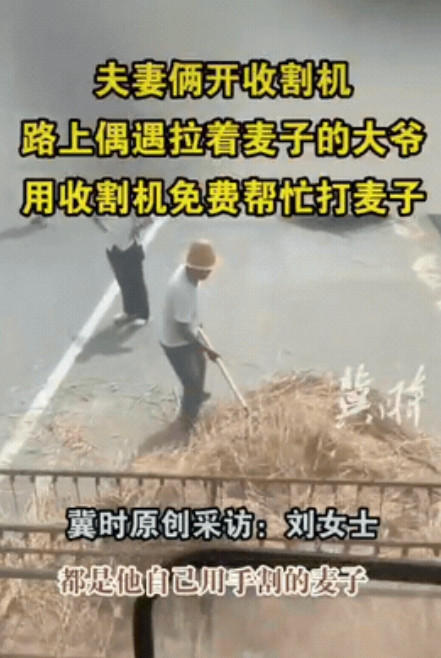 看哭了！5月23日，河南，一对开收割机的夫妻，刚收割完麦子，在路边休息一会，不料