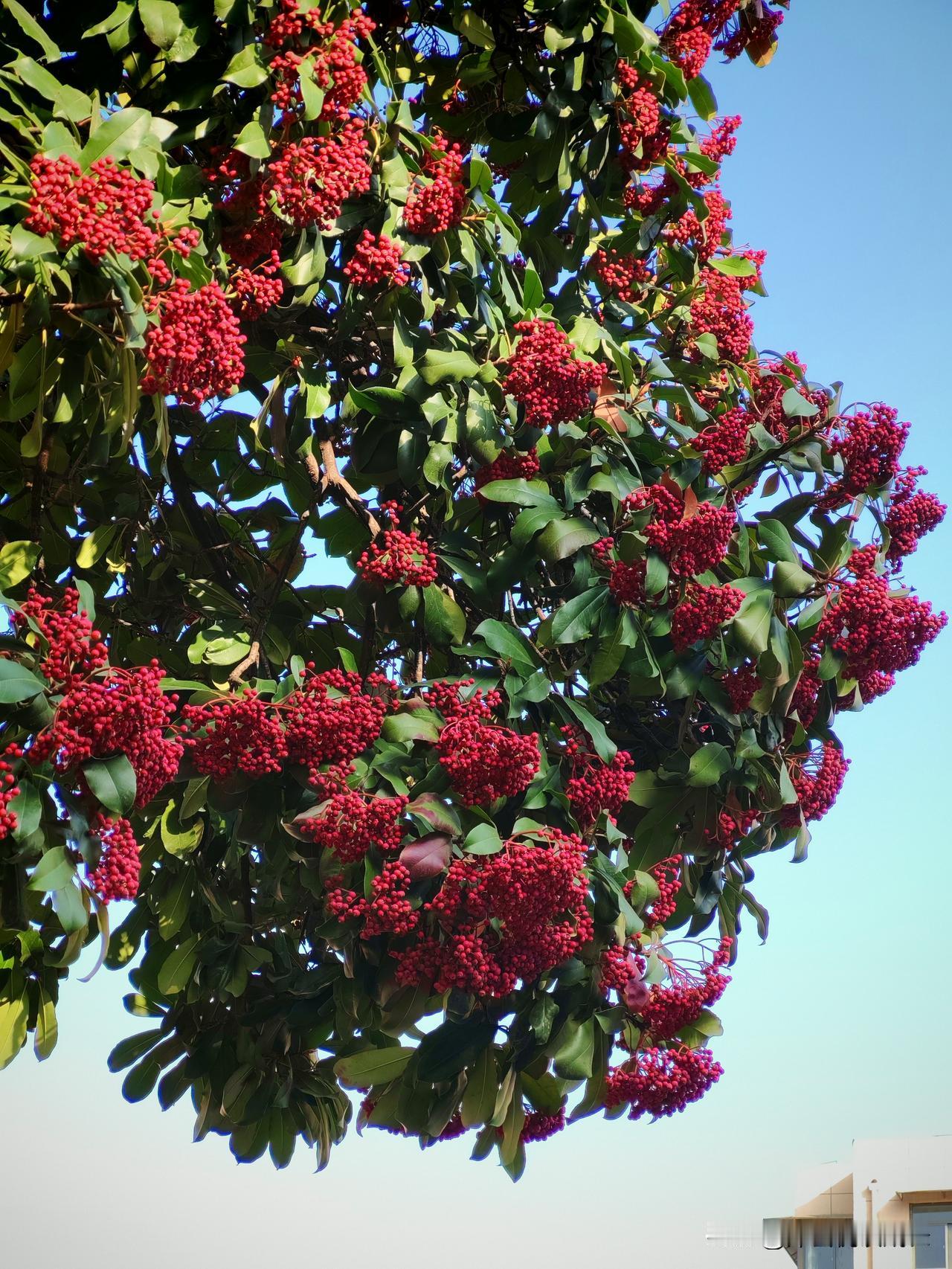 退休后才醒悟：我活着，就是在赚大钱！奉劝已经退休、和即将退休的朋友们，大家