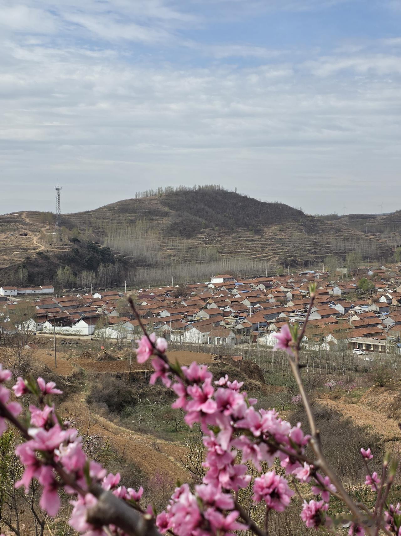 差点策反一个同事，被他老婆截胡了，他老婆一句话，说得我哭笑不得…………同事比