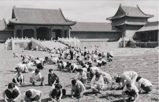 1949年，国家组织了7万人在北京故宫里清理垃圾，历时9个月清理出清末以来近40