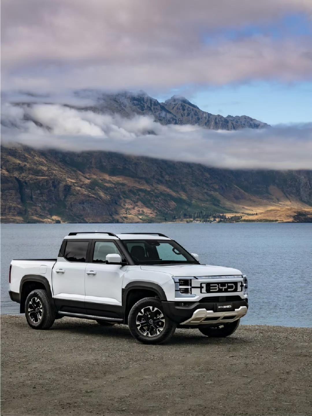 比亚迪鲨鱼皮卡拿到国内准生证，能否挑战长城皮卡王者地位？工信部第406批公告，