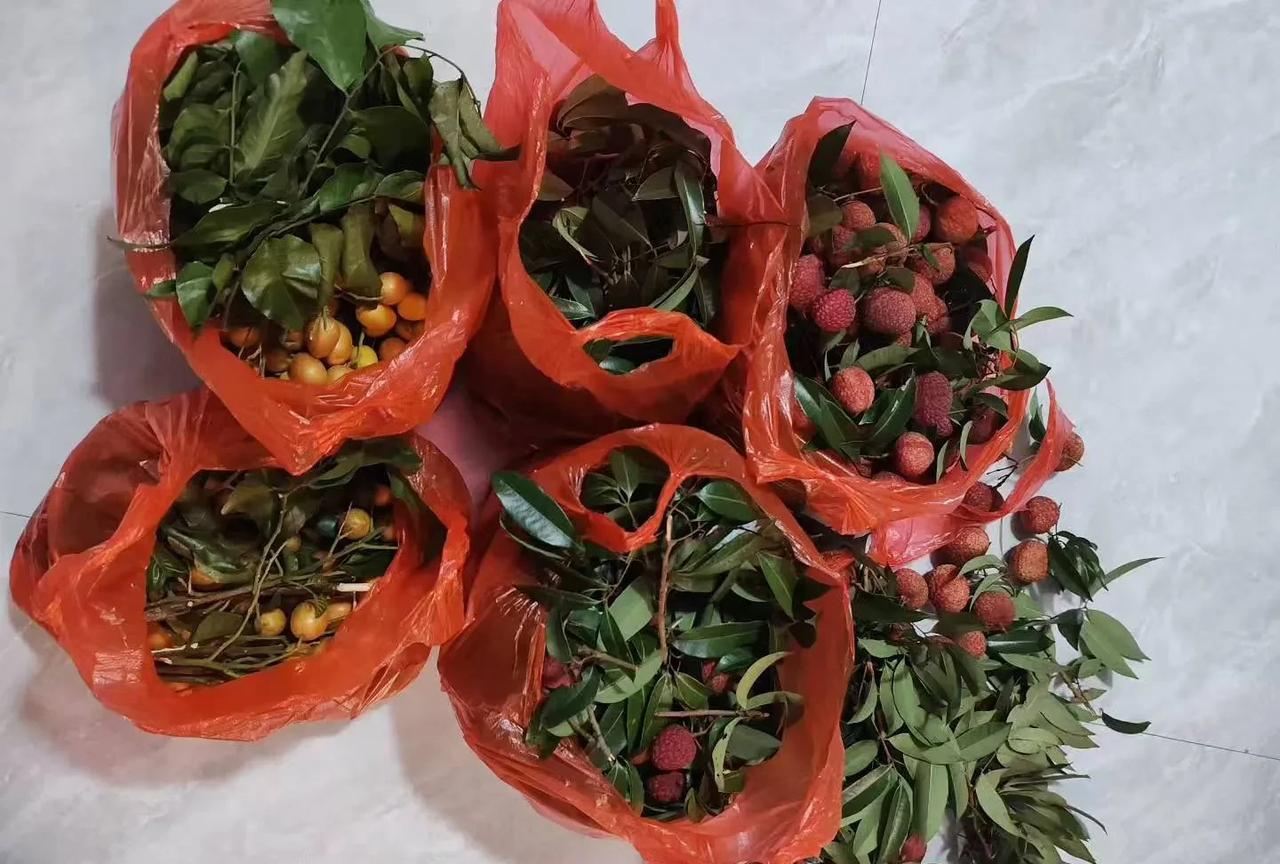 中年女人的悲哀！我一个友女今年40多岁了，之前她为了要小孩，一直没有去工作，后