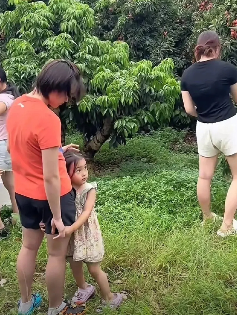 全红婵真的回不到巅峰了。在全红婵哥哥最新拍摄的视频里，全红婵现身回到了老家，跟