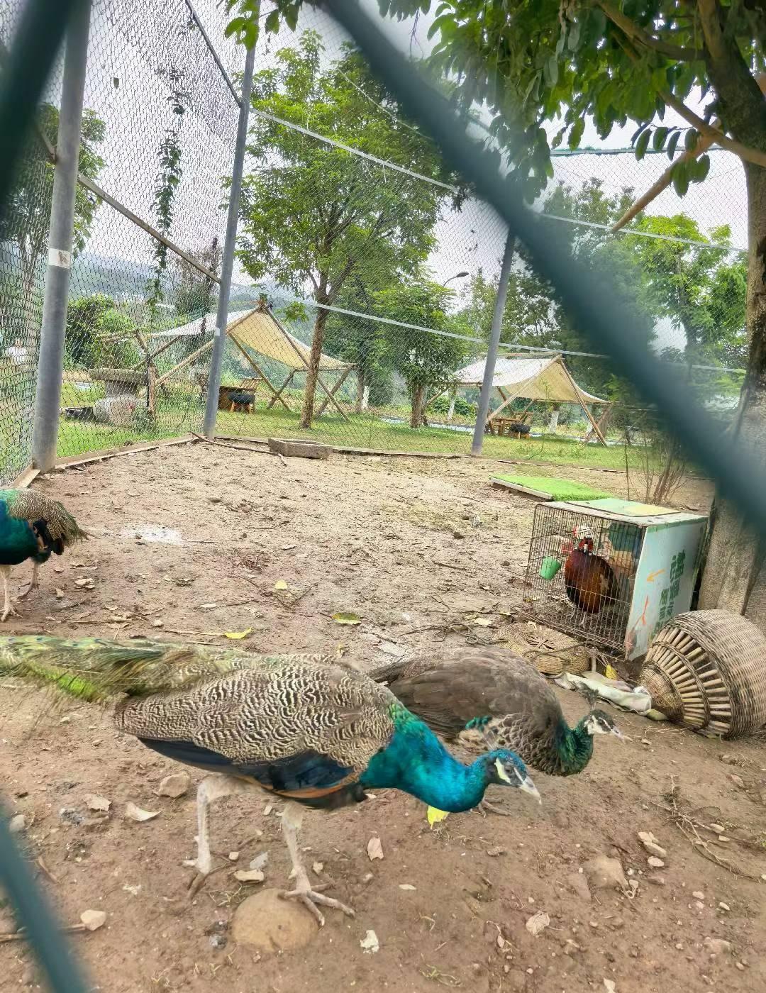 在大自然中品味生活📍苏州