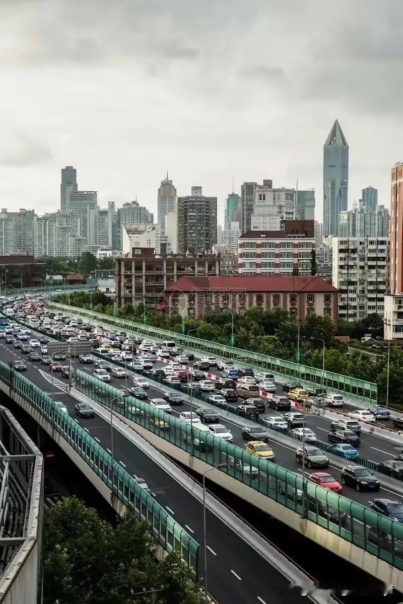 有网友称：上海目前交通状况最大的问题，在于无限发放绿牌，造成现在的网约车泛滥，而