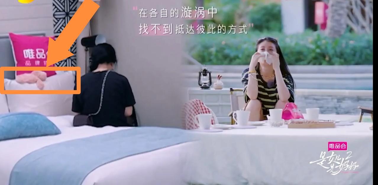 李嘉格妈妈生气不下来吃饭，假装不会关空调，李嘉格假装不知道，一招搞定。 