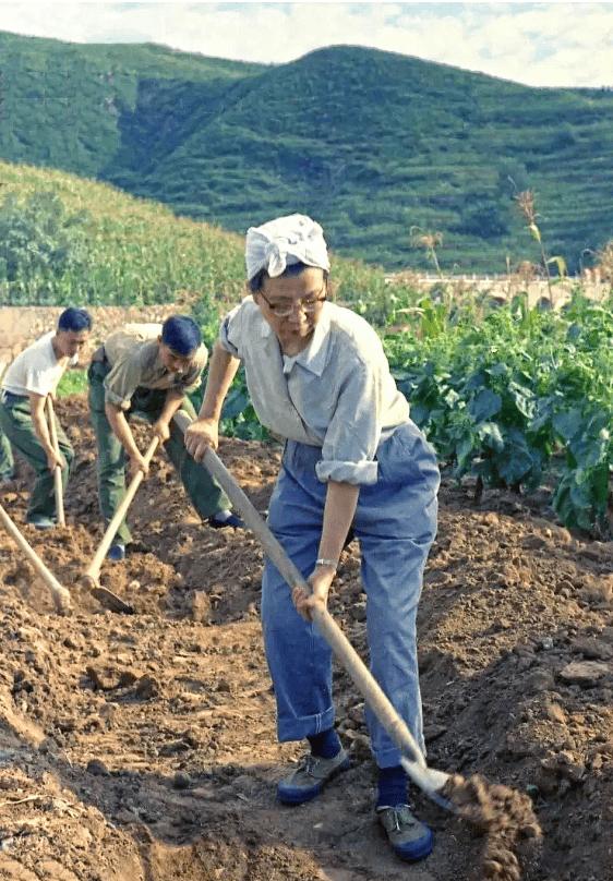 当年农业学大寨那阵子，她特意跑去山西大寨考察。为了显得接地气，她不仅换上了劳动服