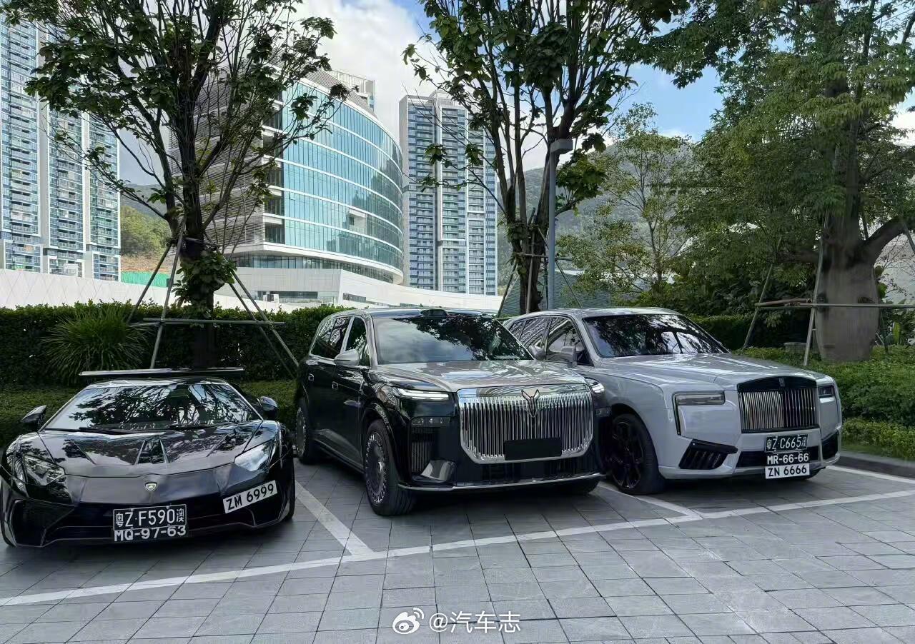 泰山和库里南同框，前脸气场真不差[吃瓜][吃瓜]岚图泰山​​​