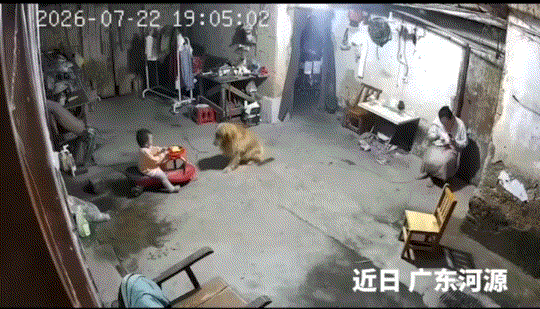 万万没有想到，广东，一宝宝坐在滑板车与狗子在家中玩耍，这妈妈则坐在一旁忙着手头活