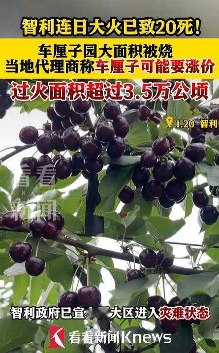 刚在水果店看到JJ车厘子标价130一箱，手抖了下。上礼拜明明99随便