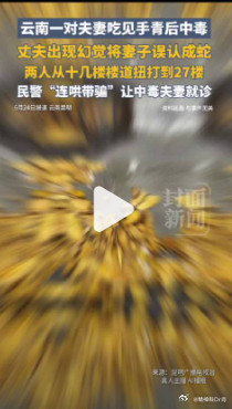 【警方回应夫妻吃菌中毒互殴：目前两人已康复】近日，云南昆明，一对夫妻吃菌中毒擅自
