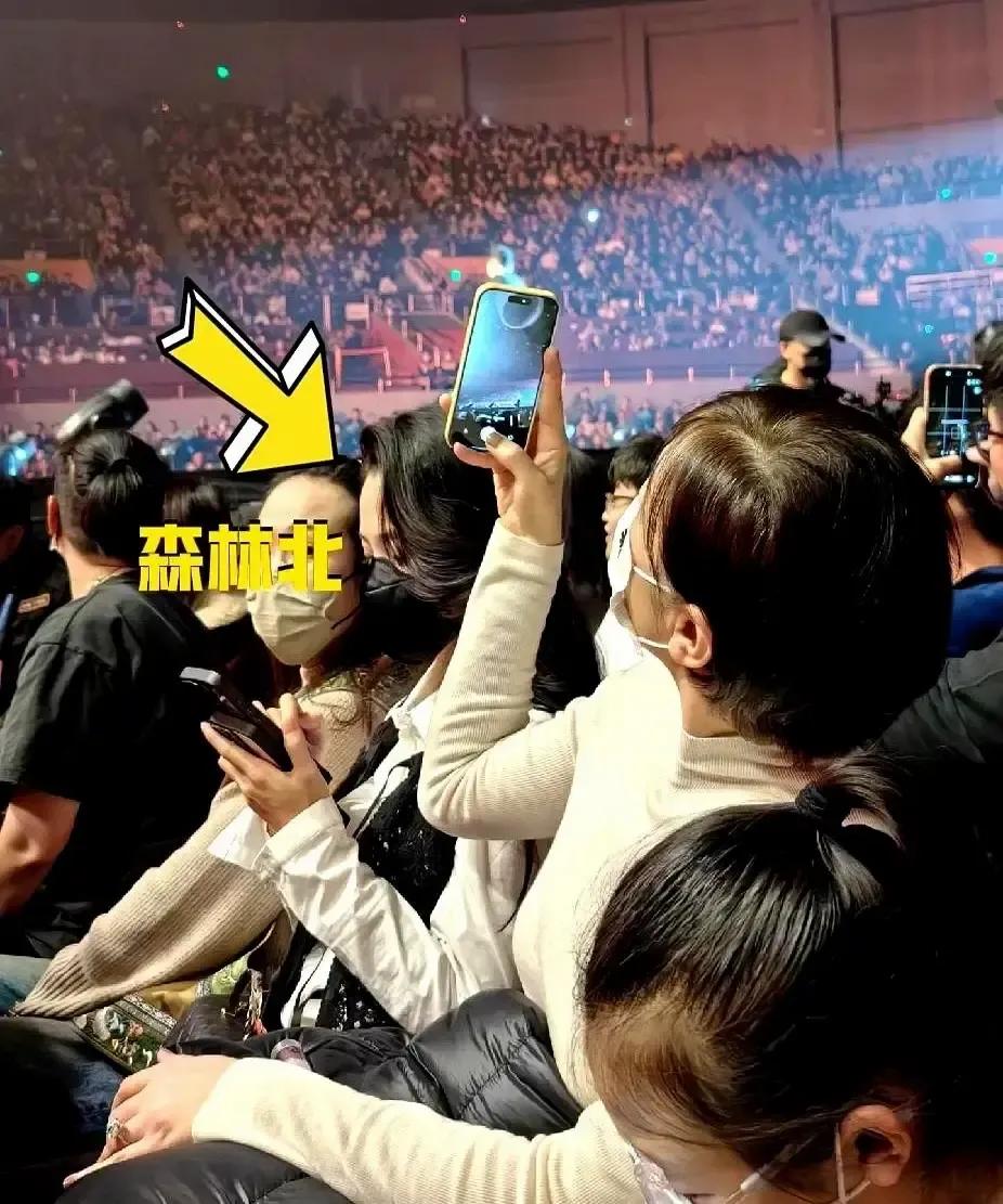 汪峰演唱会镜头一切，观众席里森林北笑得比灯牌还亮。去年才跟章子怡办完离婚，转眼