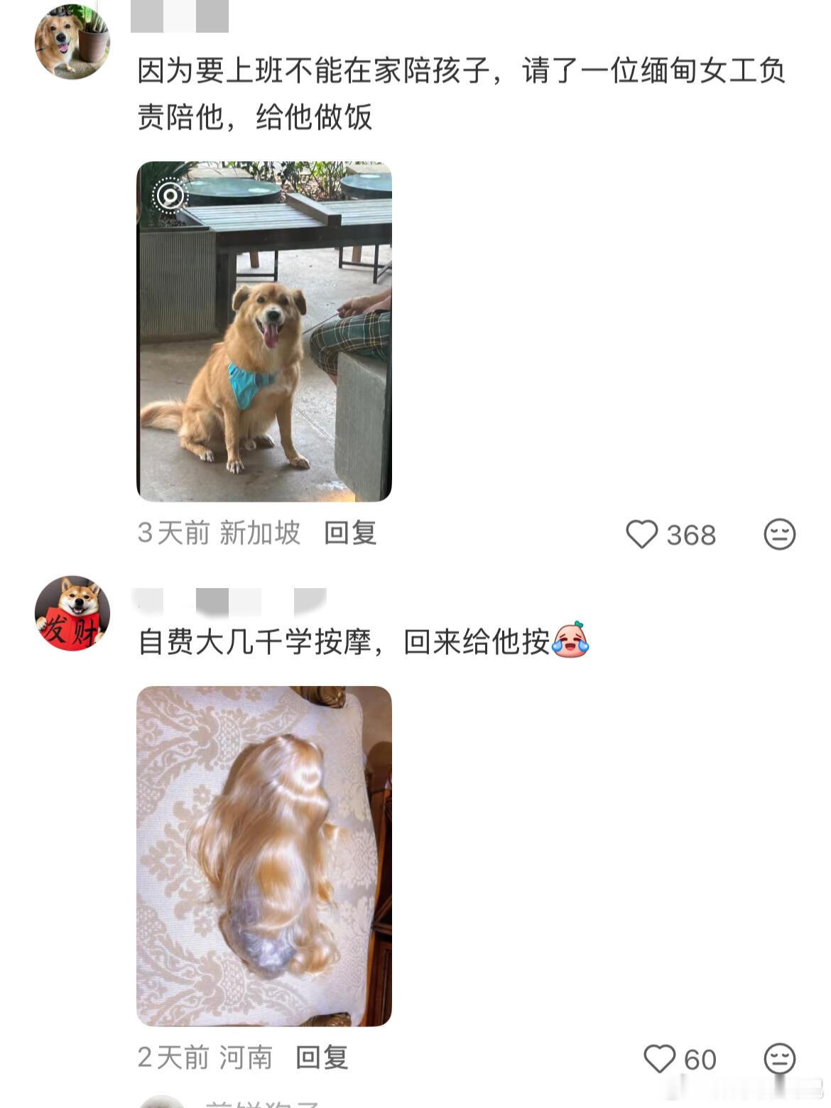 养宠人是意识不到自己在溺爱的！众所周知养宠人的“宠”是宠爱的，人类对毛孩子溺爱