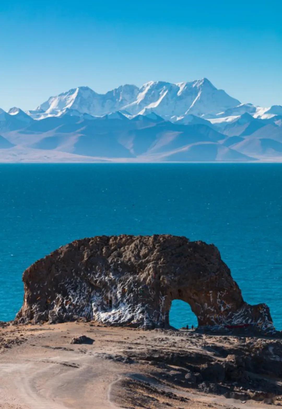 莫言说：“不管你多善良，当你没有价值时，就算你温柔得像只猫，别人都嫌你掉毛。人性