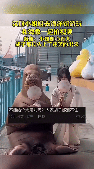 一位身着汉服的小姐姐到海洋馆游玩，她和一只海象一起拍视频。视频里，小姐姐拿着扇子