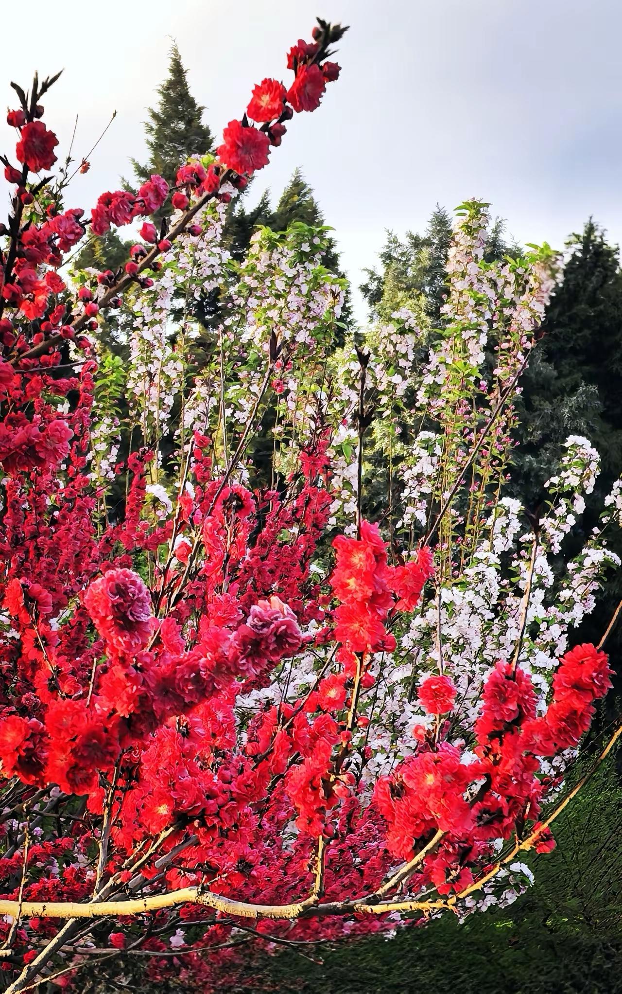 十大人性揭示1. 人只会对“难得到的”上心太容易得到的，无论好坏，大多不