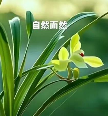 早上好，今天是7月10日星期四。报告大家好消息！在刚刚结束的世联赛第三周美国