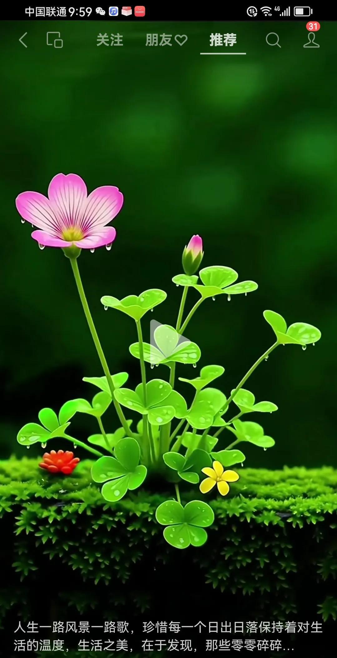 幸福不是没有痛苦，而是要学会和痛苦和平相处的方式，如果人的一生没有坎坷，你也就无