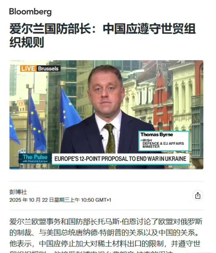 爱尔兰防长要求中国遵守世贸组织规则,撤回稀土管制措施!这波操作说白了就是典型