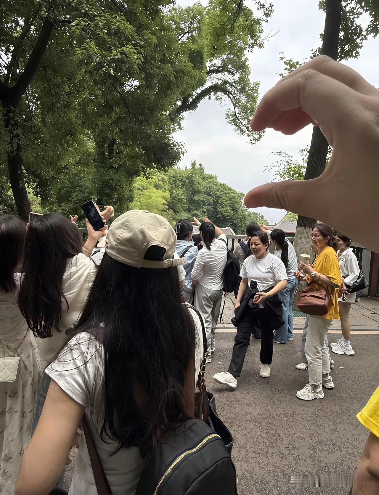 猜猜这是长沙哪个景点！如今网友真会玩，景点的一棵树都能拼起爱心图像！难怪吸引了