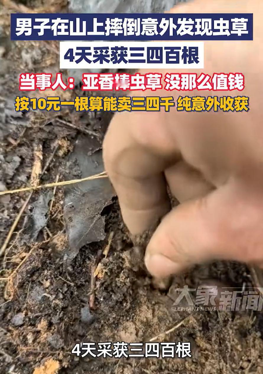 这惊喜来得太突然了！贵州开阳，男子上山时意外摔了一跤，结果起身时偶然发现地上土缝