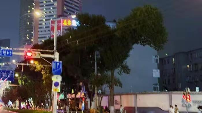 济南泉城广场附近居然藏着一只“霸王龙”？