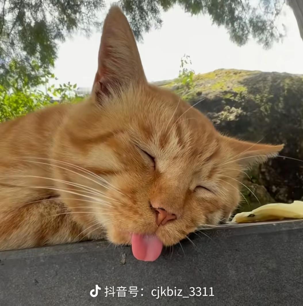 医患矛盾是医生的原因吗?医患矛盾真的不能简单归责到医生身上。之前接连爆出江西韩杰医生案、口腔诊疗纠纷