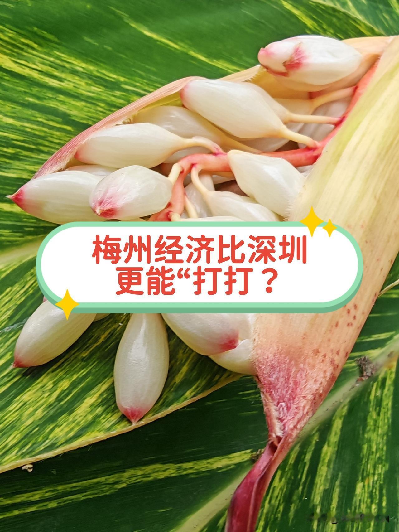 从GDP与人口增幅之比这一维度而言，广东21市中经济增长最快的是梅州，而非深圳，