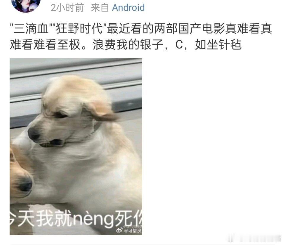 观众说文艺片看不懂，连粉丝也直呼难看，让易烊千玺远离导演毕赣，还说年度最难看的电