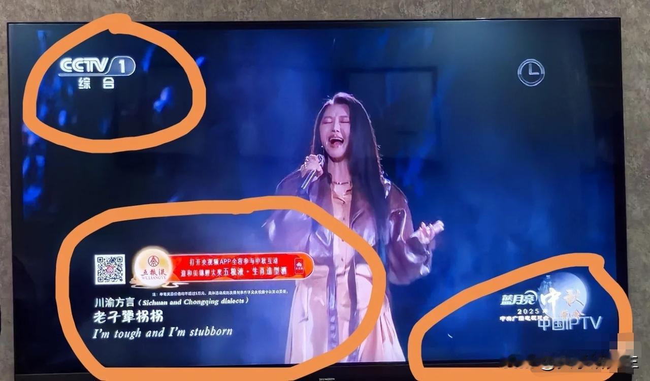 刚关掉电视，今年央视中秋晚会收视率挺高，但看下来感觉有点复杂。晚会上假唱