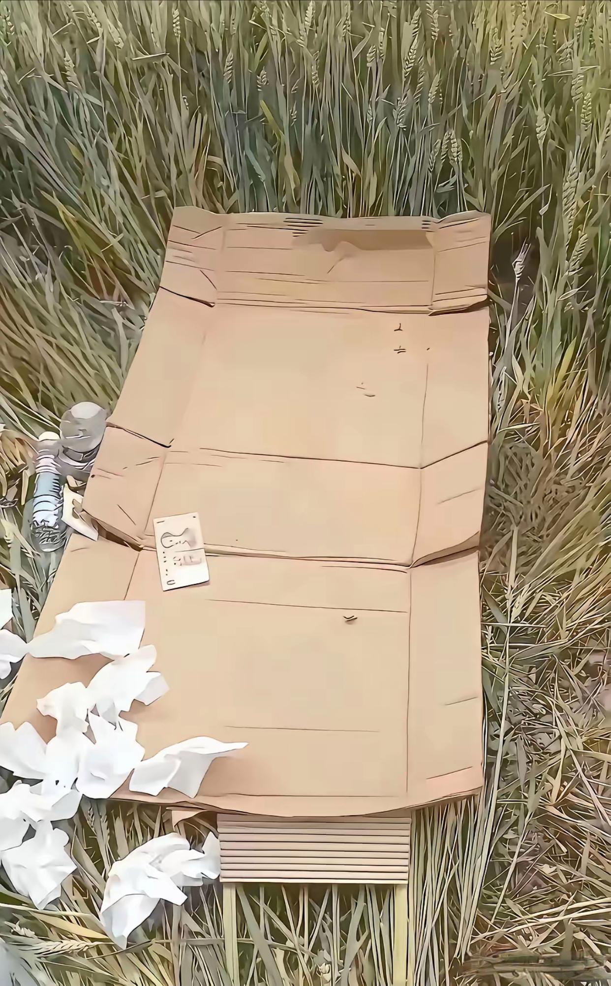 这样不好，人家的庄稼给破坏了呀！