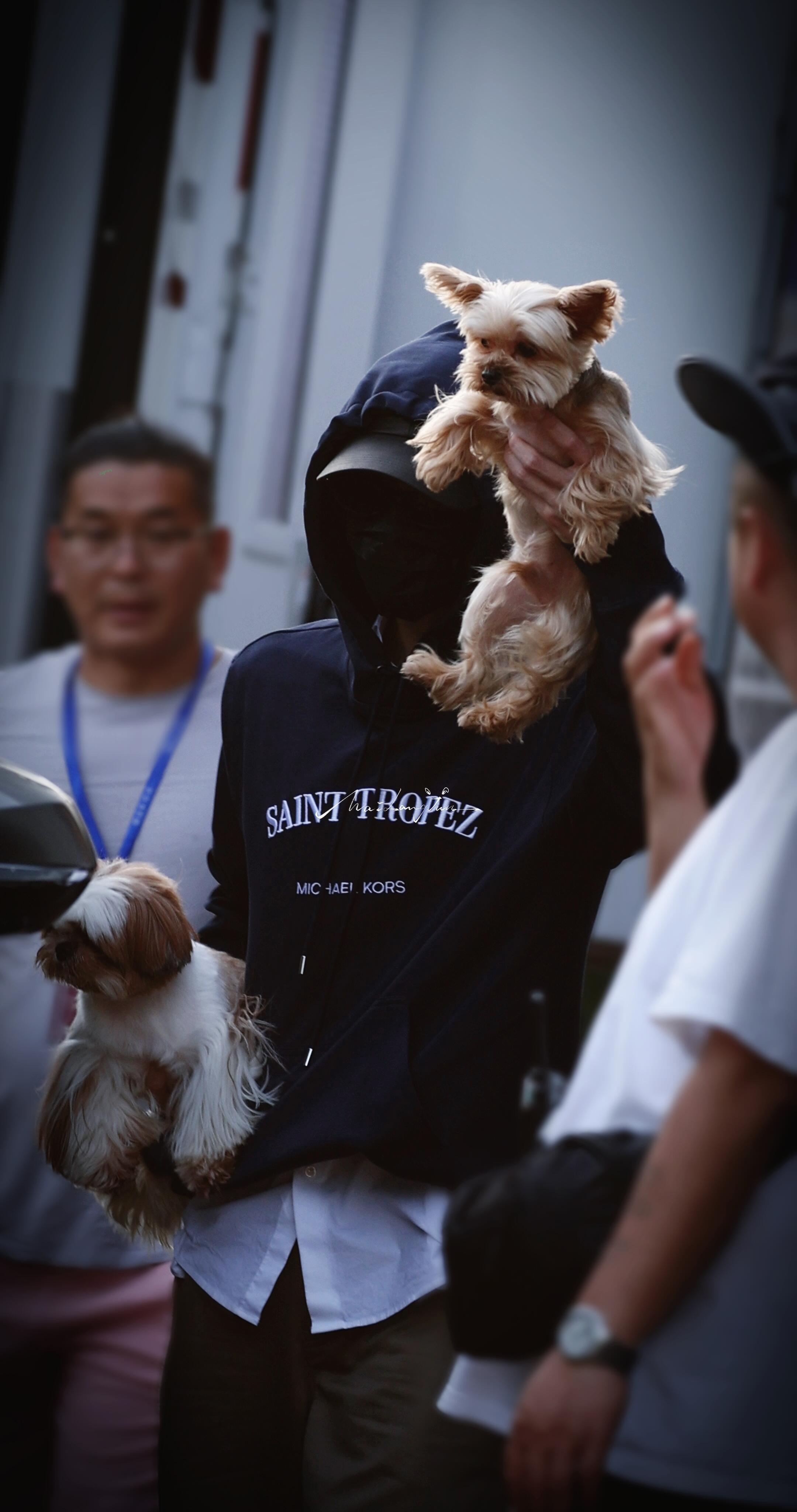 檀健次檀健次可爱的一家三口檀健次专栏·素材库专栏·檀健次日常