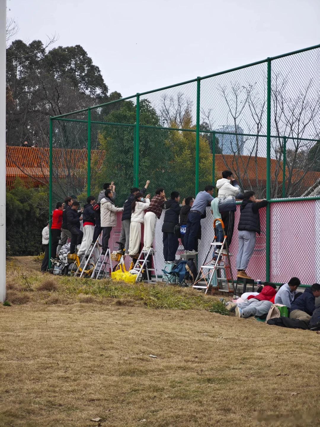 成都蓉城球迷强势围观热身赛，还看个球啊！图1这哥们火了。比赛不对外，办法总比困难