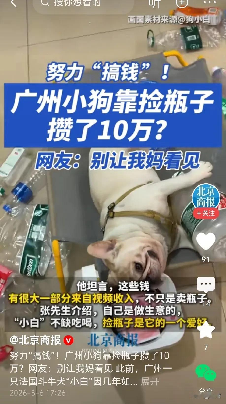 破防了！广州小狗“五一”靠捡瓶子赚了216元，我在家躺了5天，银行卡里