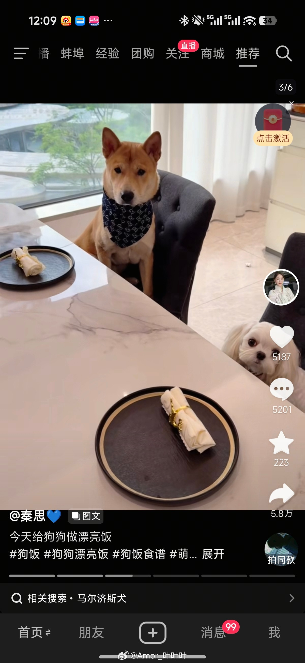 现在狗吃这么好？