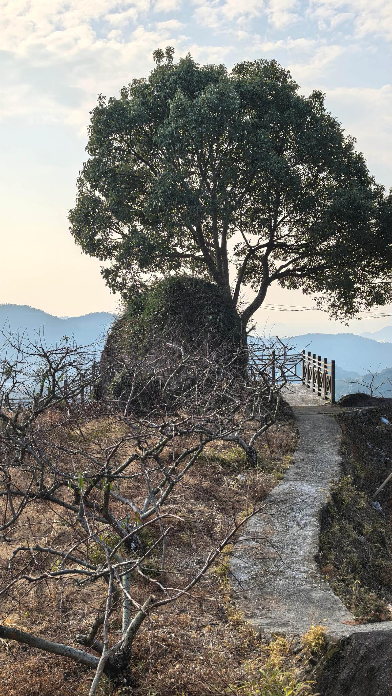 温州中雁景区一日游精选图集治愈系风景风景如画的地方天然氧吧自然风光