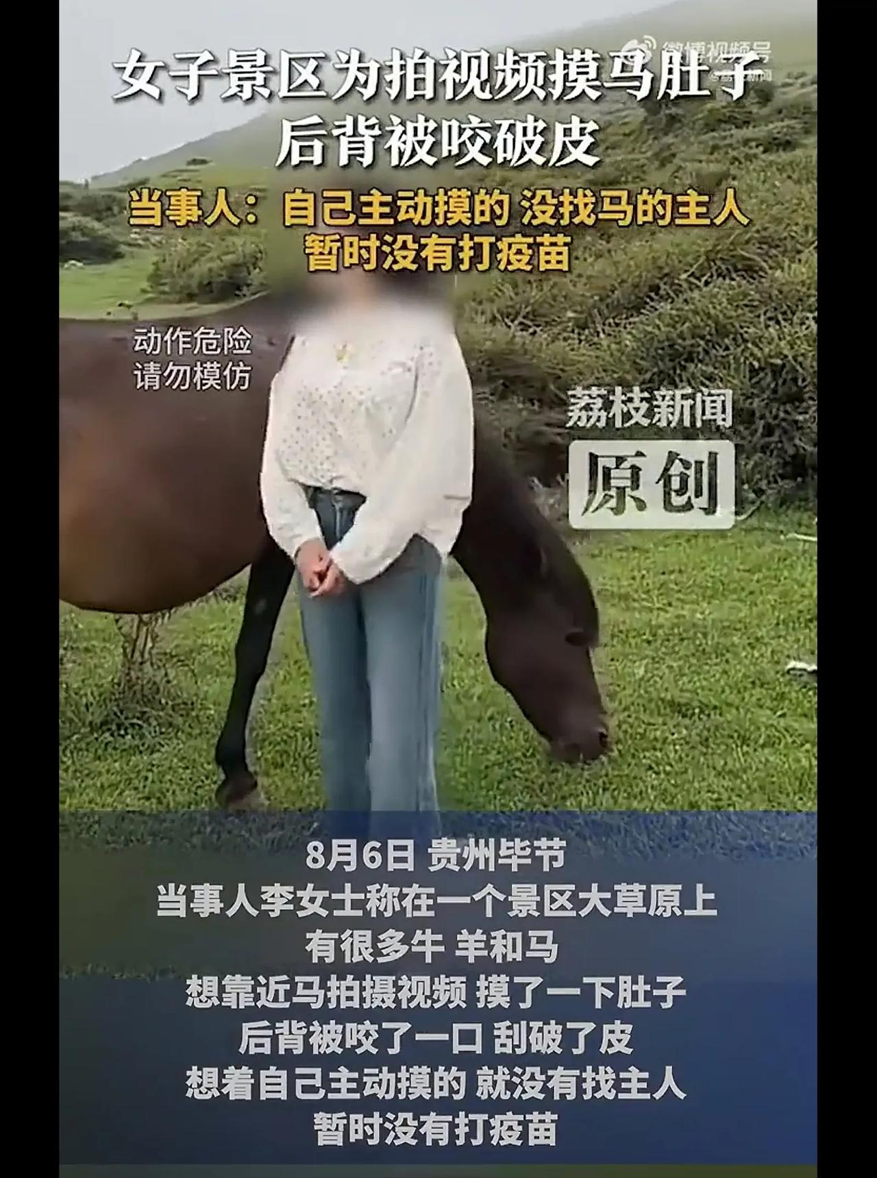 动物伤人事件，自己原因，动物主人不承担责任，这个事件，就不关马主人的事