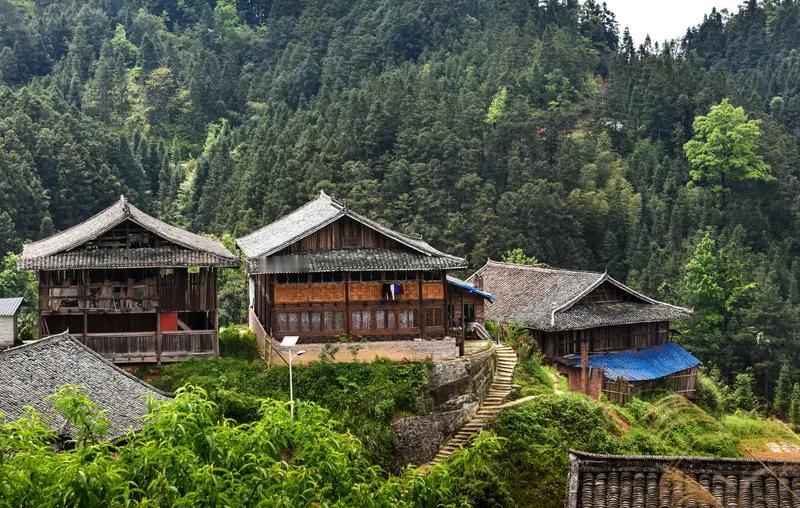 2025年11月5日，贵州榕江县平寨村上演了一场超硬核的搬家。200多位村民肩扛