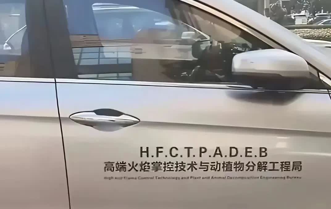 这个车贴到底是什么意思感觉好高大上呀
