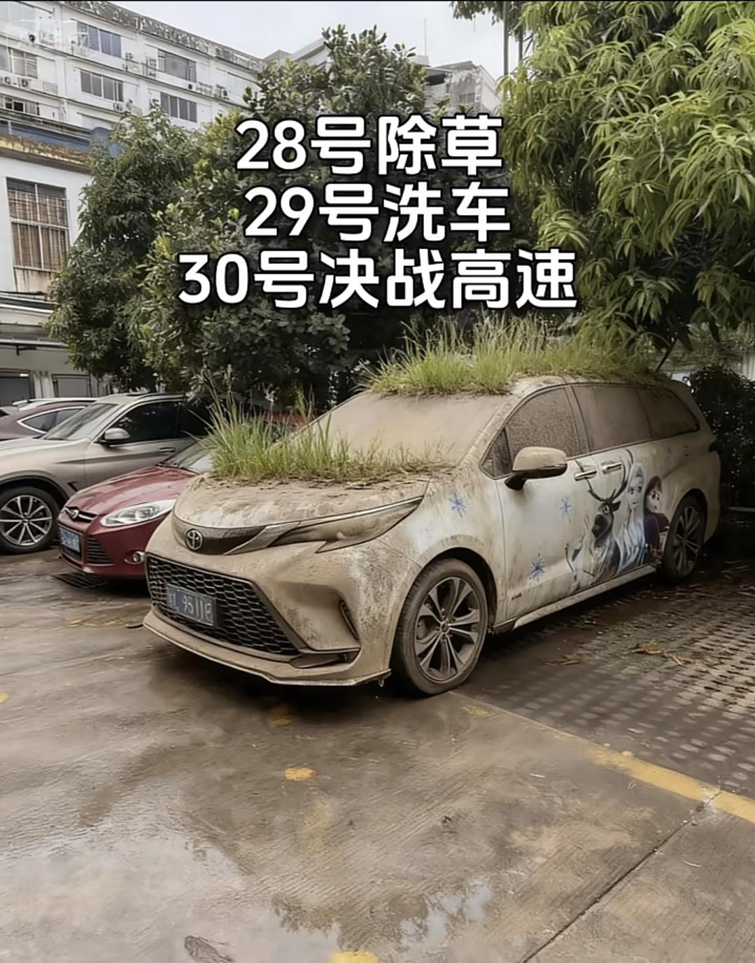 一年二桶油够么！？马上国庆，荒废半年的车可以开了[呲牙笑]对这样的车真的应该多