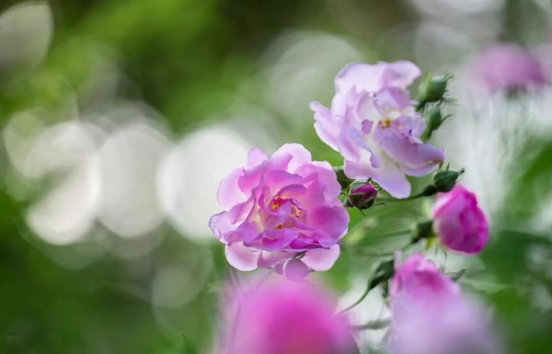 53岁的我，还有2年退休，近几年我发现自己的变化实在是太大了：1、工作上少了