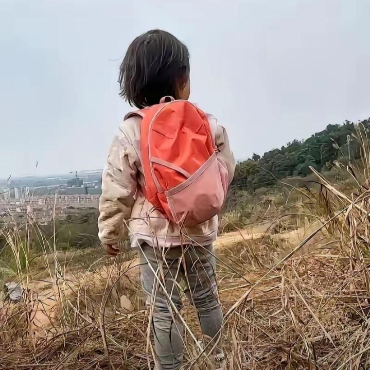 谁能想到，在贵州安顺的大山深处，一个7岁女童每天上下学的"全职保镖"，竟然是一条